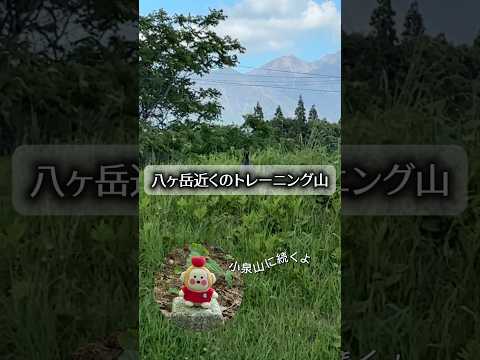 もおすけのYouTubeショート動画