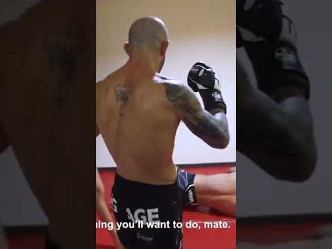 UFC Champion Alexandar Volkanovski Kicks Fan 😳