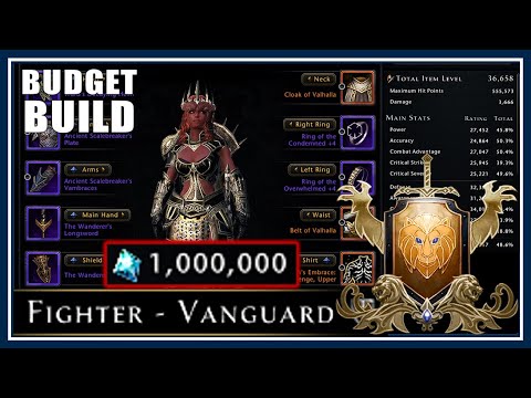 Fighter Tank Starter Build! (1 million AD limit) How to Tank & What to Get! - Neverwinter Mod 26