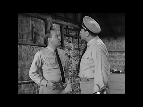 Mermaid Man and Barnacle Boy voice before Spongebob