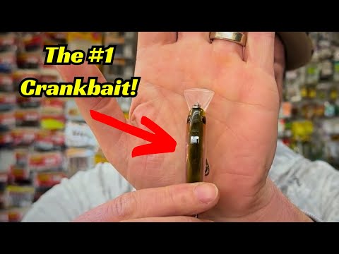The #1 Crankbait Right Now! Everyone Should Have These!