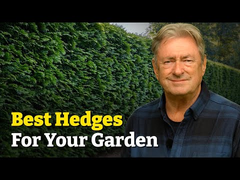 Garden Hedges: Add Privacy, Reduce Noise & Attract Wildlife!