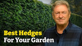 Garden Hedges: Add Privacy, Reduce Noise & Attract Wildlife!
