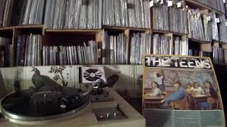 The Teens -- We´ll Have A Party Tonite´Nite