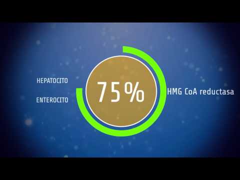 El metabolismo de los lípidos, sus alteraciones y sus tratamientos