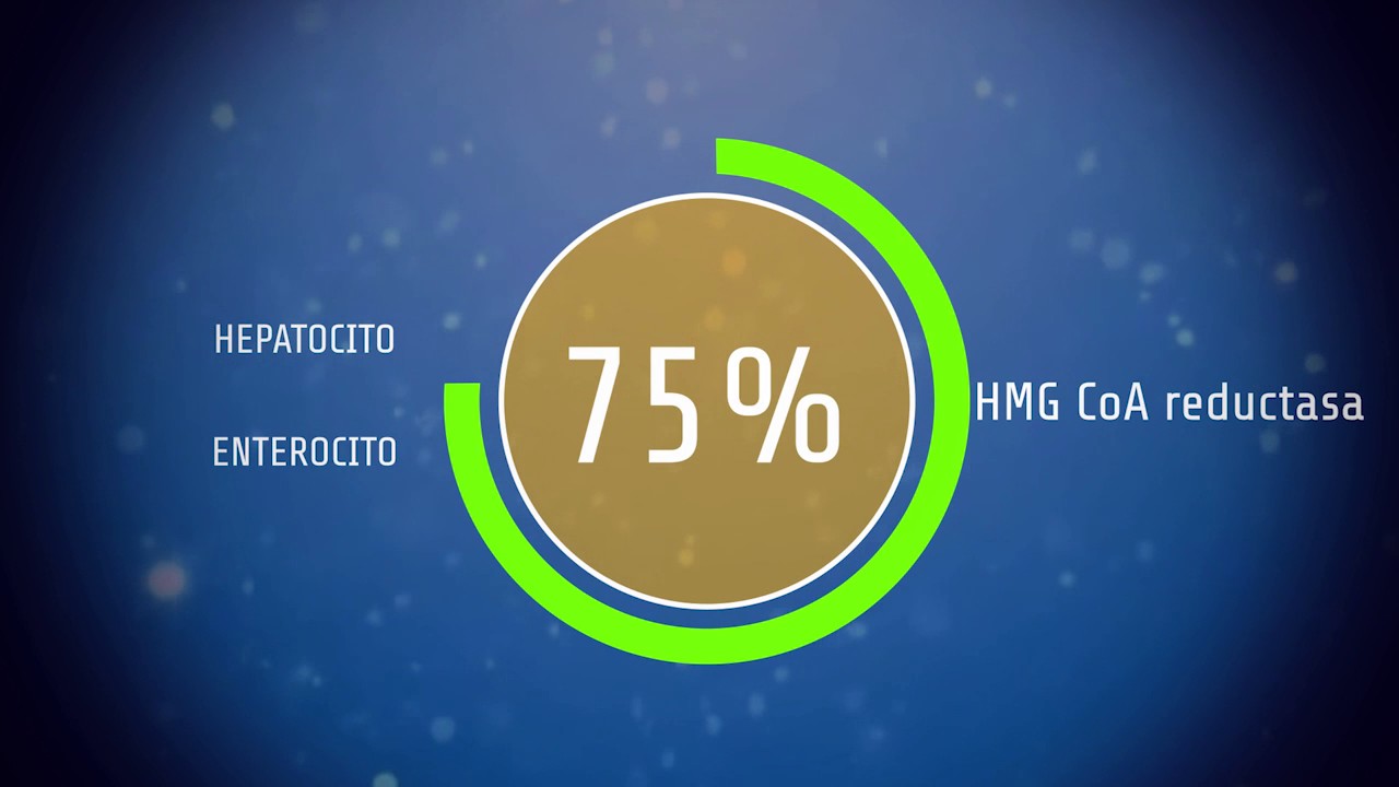 El metabolismo de los lípidos, sus alteraciones y sus tratamientos