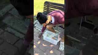 Video thumbnail image