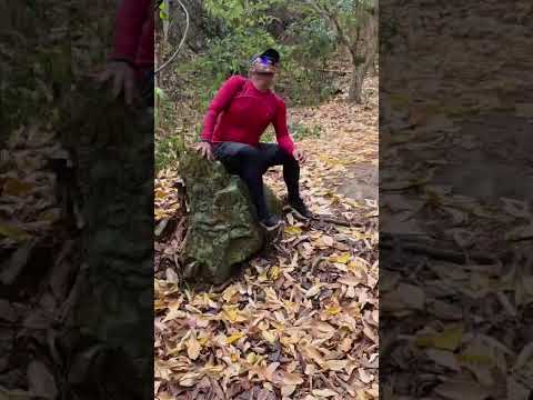 trilha em Natuba #trilha #natureza #paraiba