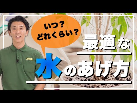 経済学科 どれくらいあげたらいいの？適切な水やりの仕方教えます！