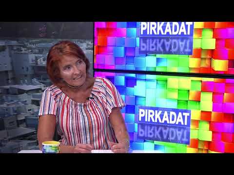 Lendvai Ildikó, az MSZP volt elnöke a Heti Tv Pirkadat című...