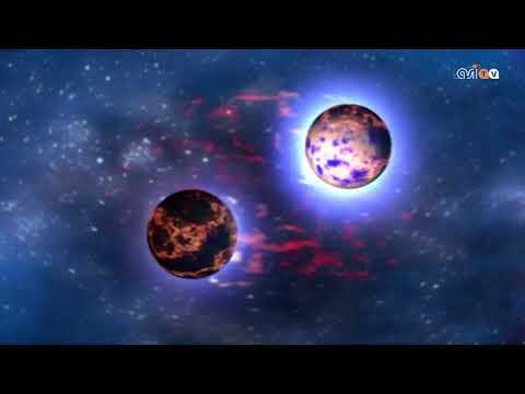 L'universo sensoriale