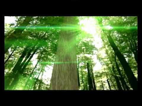 ANTWAN DAGO FEAT DEENYZ - HO AIZA (2011)