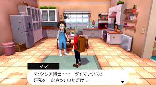 【クリア後】ポケモン剣盾【多分厳選】