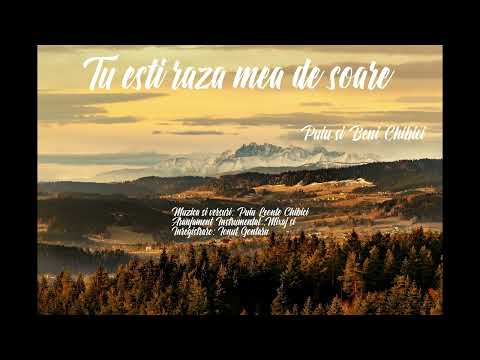 Album (27) Puiu si Beni Chibici - Tu esti raza mea de soare