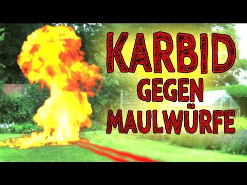 Karbid – Die beste Alternative zu Karbid um Maulwürfe/Wühlmäuse endgültig loszuwerden