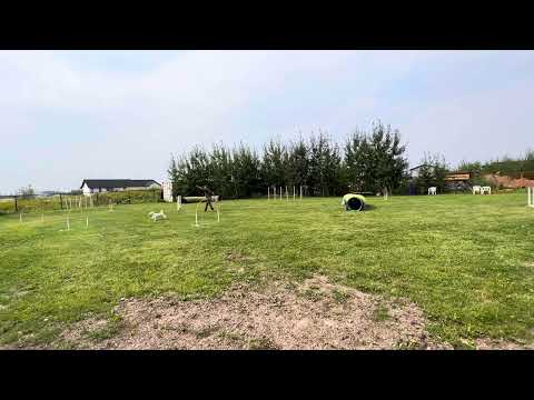 Kinglet.wv.e1.Chatter