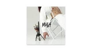 Mula Music Video