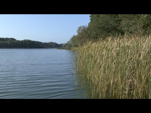 LAND & LEUTE - Sendung vom 06.02. bis 13.02.2021