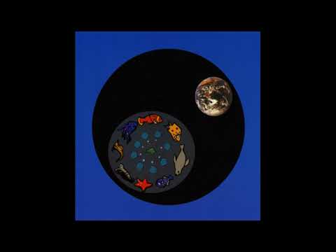 Pete Namlook & Mixmaster Morris - Dreamfish 2 (1995) AMBIENT ELECTRONICA