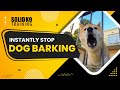 How to Stop Dog Barking Within Seconds: Solid K9 Training