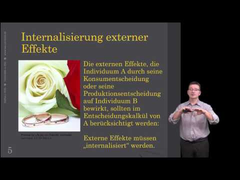 Externe Effekte