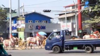 Another Parade in Mandalay