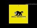 Soul Coughing - 212