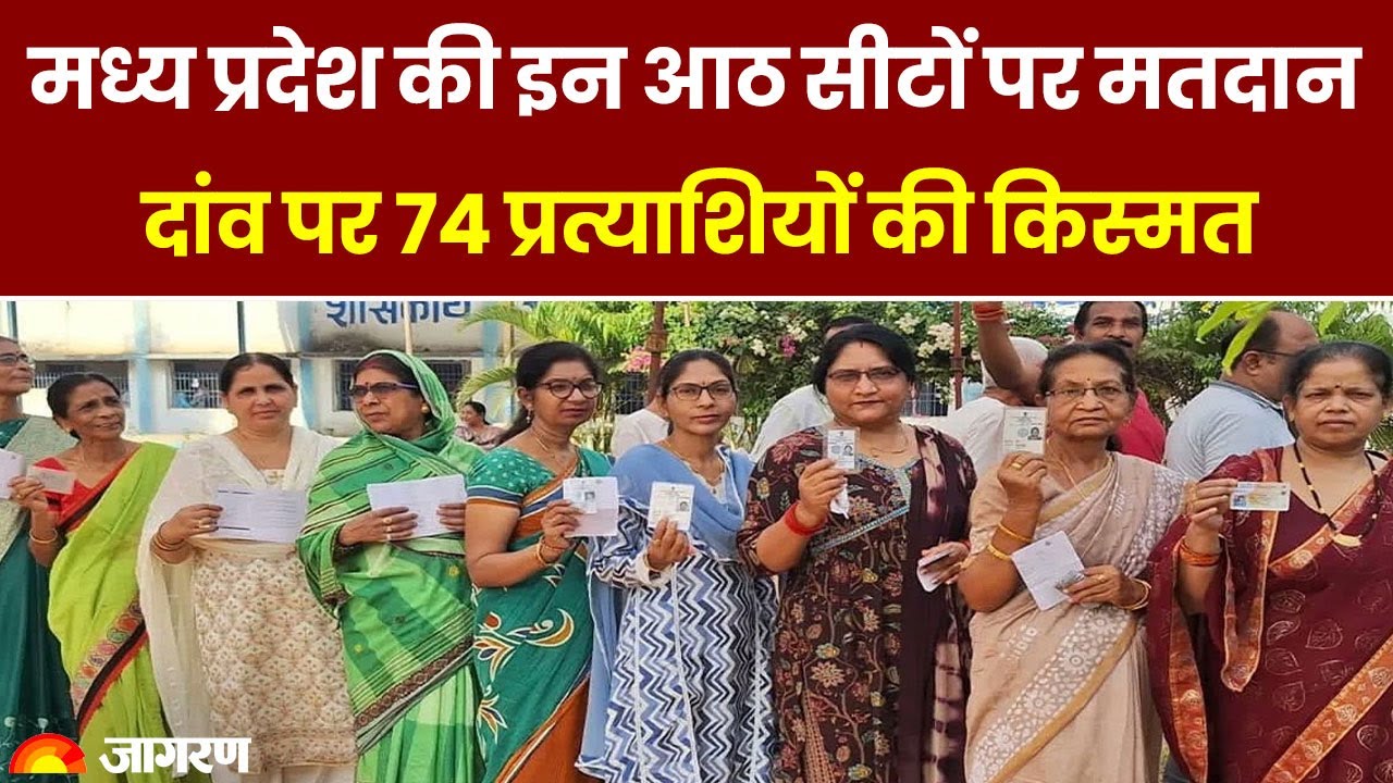 Lok Sabha Election Voting Phase 4: MP की इन आठ सीटों पर मतदान दांव पर 74 प्रत्याशियों की किस्मत