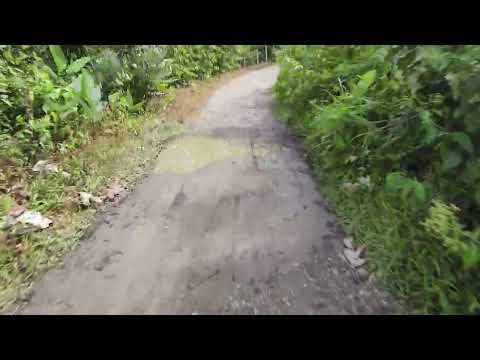 Ruta Termales El Escondite hasta Florencia, corregimiento de Samana, Caldas. Parte 3