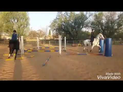 Seyunique Equestrian- Cavaletti Exercise with a group