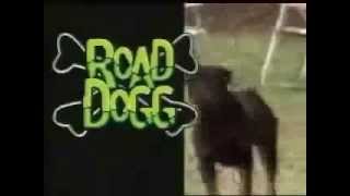 WWE - &#39;&#39;Road Dogg&#39;&#39; Jesse James Theme Song &#39;&#39;Oh You Didn&#39;t Know?&#39;&#39; (HD)