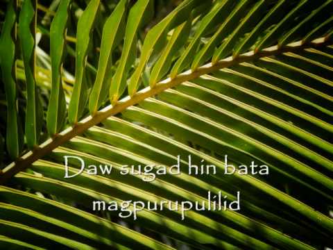 Kung paano mawalan ng timbang sa pamamagitan ng tatlong kilo per 1 Araw Bakwit diyeta sa kung magkano ang maaari kang mawalan ng timbang