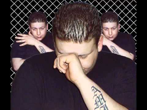 2 brüder 1 cousin Kalif, El-Mo Halbblut feature - Vollblut