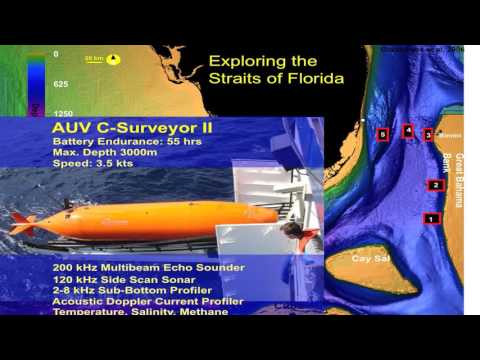 Cold Water Corals of The Bahamas | Gregor Eberli | BNHC 2016