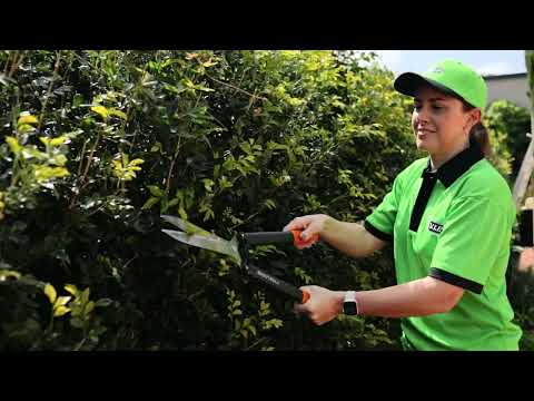 V.I.P. Commercial Services video.