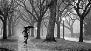 Emilie Autumn - Shalott