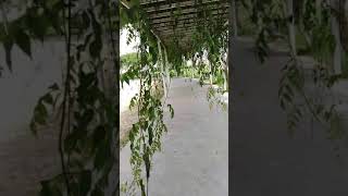 Alaquàs en cuarentena #Alaquàs #ajuntamentd'alaquas