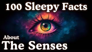 Download lagu The Most Relaxing Facts About The Senses to Fall Asleep To mp3
