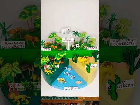 biodiversity Project | biodiversity and conservation #schoolproject #shorts #science