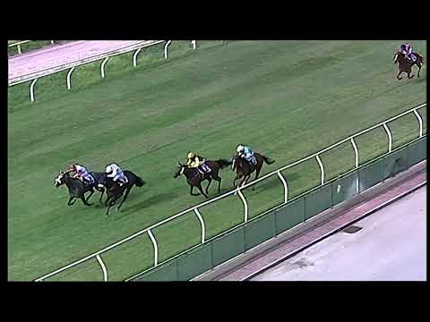 Napoli Galoppo 22/06/2021 - 1ª corsa