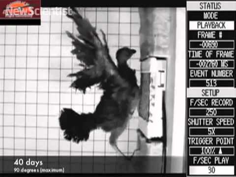 Best of the web - November 2010