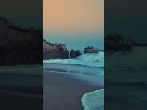 Chapter 1 of SACREBLEU is here — ‘Destiny’s Conundrum.’ #MTRSS #Sacrebleu #Sacrebleufilm