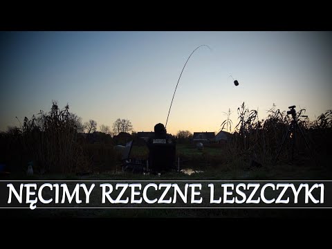 NĘCIMY RZECZNE LESZCZYKI - RZEKA i FEEDER