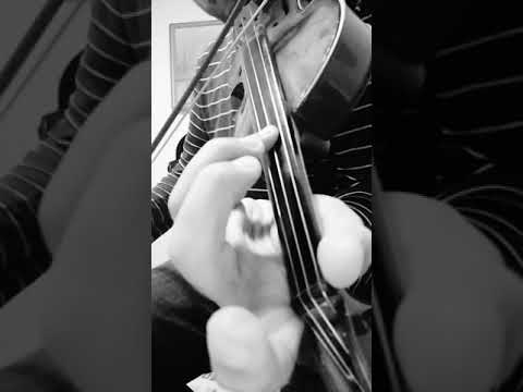 Sevmekten Kim Usanır (keman)🎻