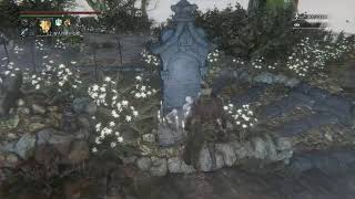 【Bloodborne】モツ抜きちゃん作成　サクサク進めたい 2周目 Part 6