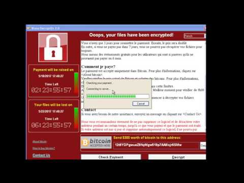 reverse engineering wannacry in computer and tracking all ips and process | 0xDarkgw