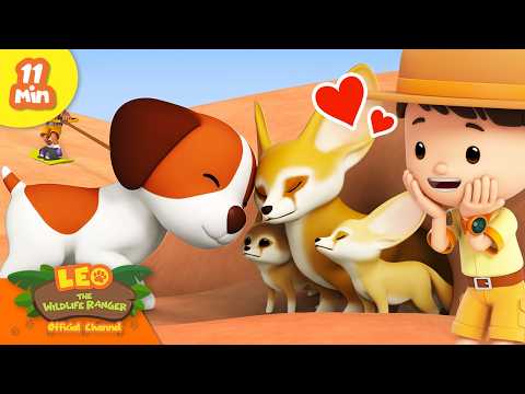 Fennec Foxes are the Cutest Desert Animals! | Leo the Wildlife Ranger | Learning Animal Cartoons - Kingdom Kids Zone, Shows - Leo the Wildlife Ranger - Official Channel