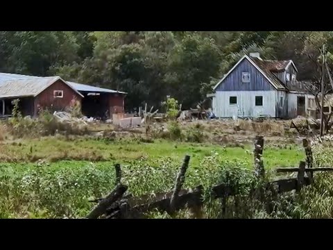 INGVARS ÖDEGÅRD #2 - Bilderna - september 2022 - BLEKINGE