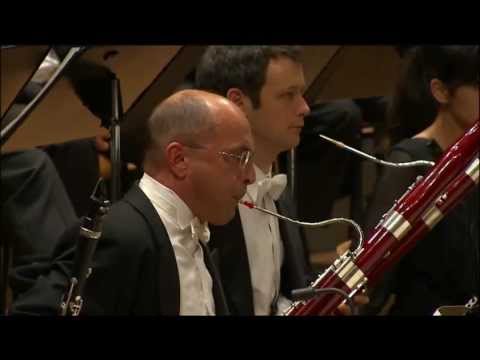 Rite of the spring - Daniele Damiano, Bassoon