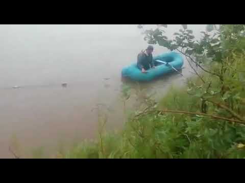 Нормальный хуй! Прикол Ржака Ржач Ор
